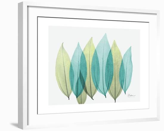 Spring Coculus Leaves-Albert Koetsier-Framed Art Print