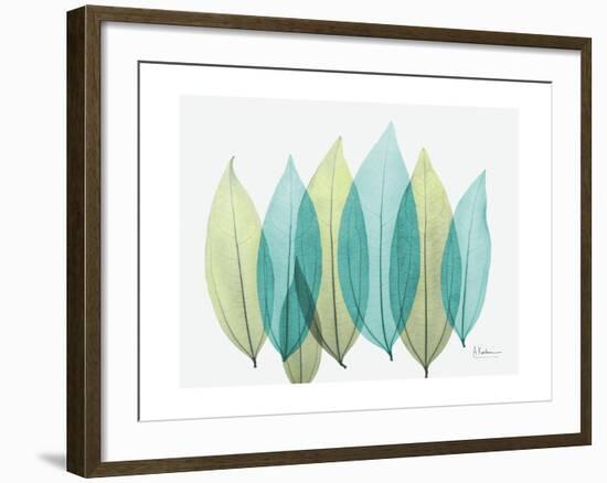 Spring Coculus Leaves-Albert Koetsier-Framed Art Print