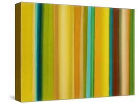 Spring Code-Franka Palek-Stretched Canvas