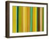 Spring Code-Franka Palek-Framed Giclee Print