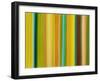 Spring Code-Franka Palek-Framed Giclee Print