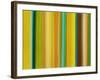 Spring Code-Franka Palek-Framed Giclee Print