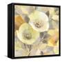 Spring Collection III Crop-Albena Hristova-Framed Stretched Canvas