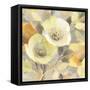 Spring Collection III Crop-Albena Hristova-Framed Stretched Canvas