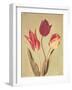 Spring Color I-Amy Melious-Framed Art Print