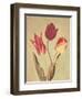 Spring Color I-Amy Melious-Framed Art Print