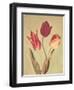 Spring Color I-Amy Melious-Framed Art Print