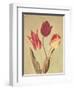 Spring Color I-Amy Melious-Framed Art Print