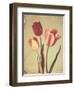 Spring Color II-Amy Melious-Framed Art Print