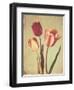 Spring Color II-Amy Melious-Framed Art Print