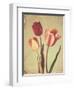 Spring Color II-Amy Melious-Framed Art Print