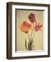 Spring Color III-Amy Melious-Framed Art Print