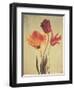 Spring Color III-Amy Melious-Framed Art Print