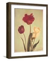 Spring Color IV-Amy Melious-Framed Art Print