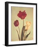 Spring Color IV-Amy Melious-Framed Art Print