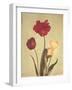 Spring Color IV-Amy Melious-Framed Art Print