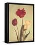 Spring Color IV-Amy Melious-Framed Stretched Canvas