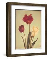 Spring Color IV-Amy Melious-Framed Art Print