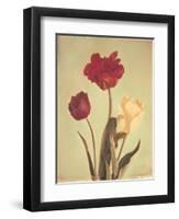 Spring Color IV-Amy Melious-Framed Art Print