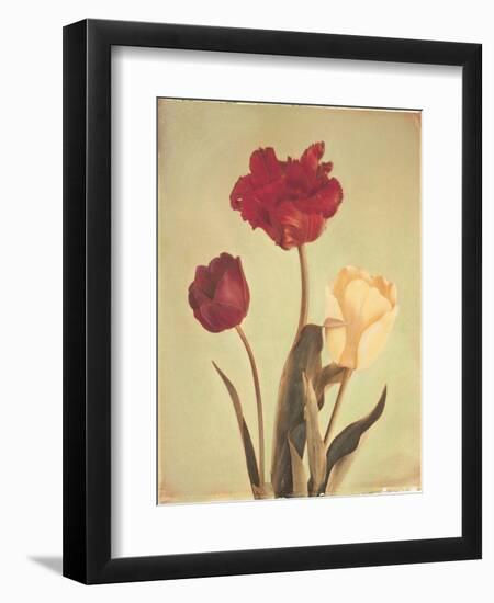 Spring Color IV-Amy Melious-Framed Art Print