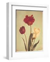 Spring Color IV-Amy Melious-Framed Art Print