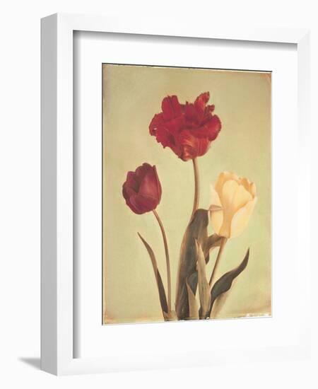 Spring Color IV-Amy Melious-Framed Art Print