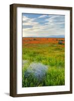 Spring Color Outside Lancaster-Vincent James-Framed Photographic Print