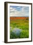 Spring Color Outside Lancaster-Vincent James-Framed Photographic Print