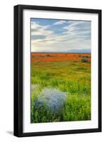 Spring Color Outside Lancaster-Vincent James-Framed Photographic Print