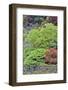 Spring color with deer proof shrubs and trees, Sammamish, Washington State.-Darrell Gulin-Framed Photographic Print