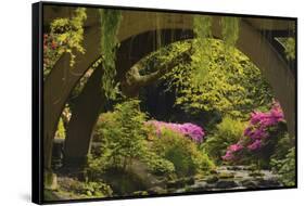 Spring Colors at Crystal Springs Rhododendron Garden, Oregon, USA-Michel Hersen-Framed Stretched Canvas