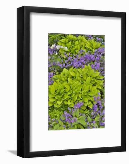 Spring colors, Chanticleer Garden, Wayne, Pennsylvania.-Darrell Gulin-Framed Photographic Print