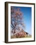 Spring Comes Down the Mississippi-Andreas Feininger-Framed Photographic Print