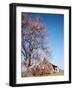 Spring Comes Down the Mississippi-Andreas Feininger-Framed Photographic Print