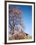 Spring Comes Down the Mississippi-Andreas Feininger-Framed Photographic Print