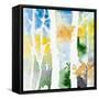 Spring Coming On II-Lanie Loreth-Framed Stretched Canvas