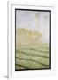 Spring Countryside at Giverny, 1894-Claude Monet-Framed Giclee Print