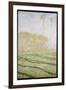 Spring Countryside at Giverny, 1894-Claude Monet-Framed Giclee Print