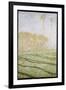 Spring Countryside at Giverny, 1894-Claude Monet-Framed Giclee Print