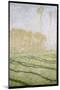 Spring Countryside at Giverny, 1894-Claude Monet-Mounted Giclee Print