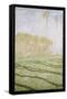 Spring Countryside at Giverny, 1894-Claude Monet-Framed Stretched Canvas