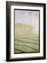 Spring Countryside at Giverny, 1894-Claude Monet-Framed Giclee Print