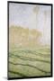 Spring Countryside at Giverny, 1894-Claude Monet-Mounted Giclee Print