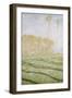 Spring Countryside at Giverny-Claude Monet-Framed Giclee Print