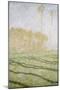 Spring Countryside at Giverny-Claude Monet-Mounted Giclee Print