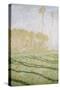 Spring Countryside at Giverny-Claude Monet-Stretched Canvas