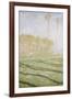 Spring Countryside at Giverny-Claude Monet-Framed Giclee Print