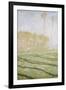 Spring Countryside at Giverny-Claude Monet-Framed Giclee Print