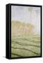 Spring Countryside at Giverny-Claude Monet-Framed Stretched Canvas