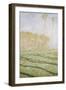 Spring Countryside at Giverny-Claude Monet-Framed Giclee Print